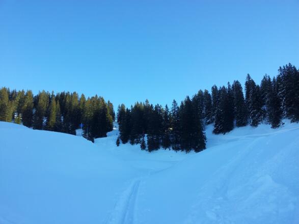 Übergang hinaufblickend rechts von der Piste