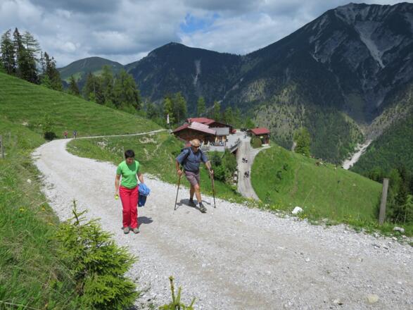 ... und wandern auf der Forststraße weiter ...