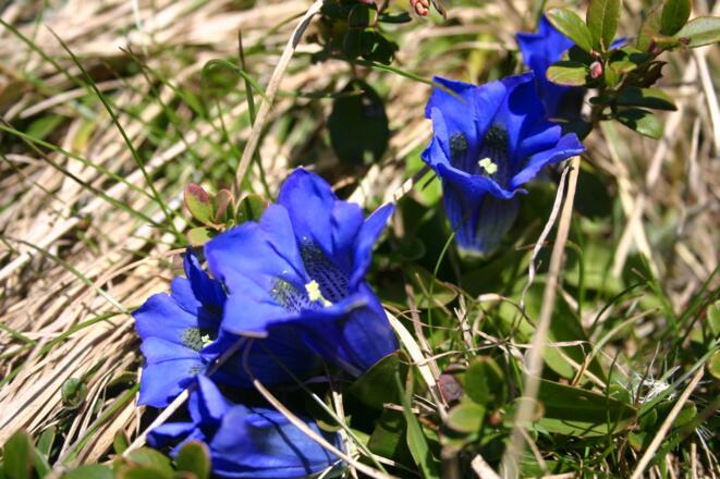 Der Frühling lässt grüßen