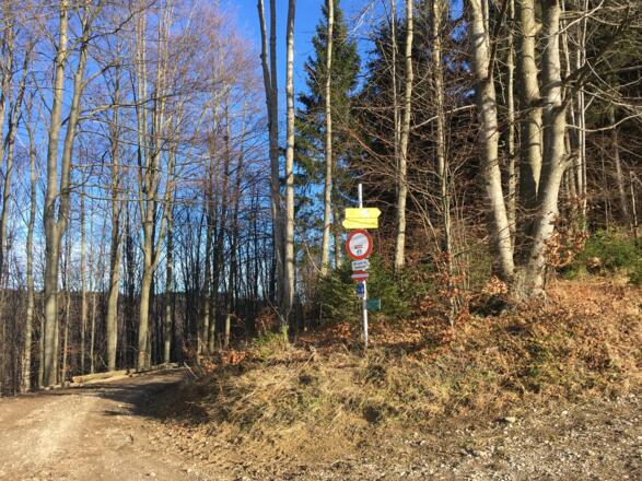 Überquerung der Mountainbikestrecke Kalkalpentour