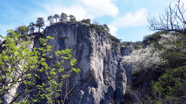 Imposante Landschaft, rechts blühende Felsenbirne.
