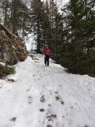 Forstweg - erstes Stück bergab