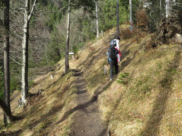 ... auf ca. 1200 m.  Wir verlassen den Weg, der zur Rumer Alm weiterführt und folgen dem schmalen Pfad, der hier rechts abzweigt.