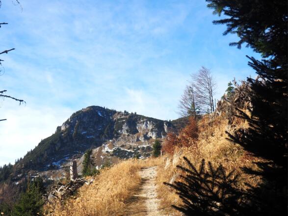 ~1280m, Roßschopf im Blick