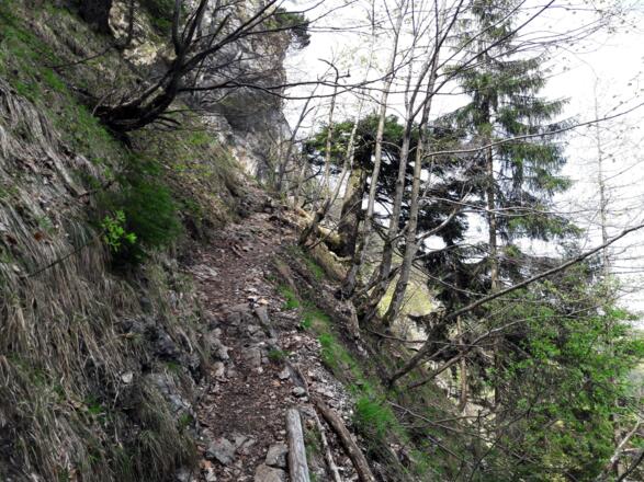 Am Gassnersteig 900m - 1105m