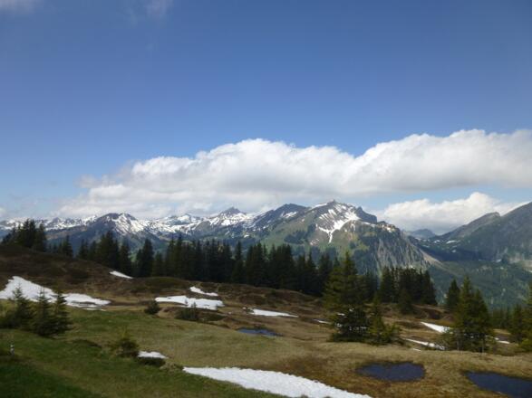 Hochmoorlandschaft mit Blick zu den Bergen rund um Damülser Mittagspitze