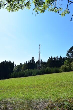 Der Namensgeber, Fernseh- und Radiosender
