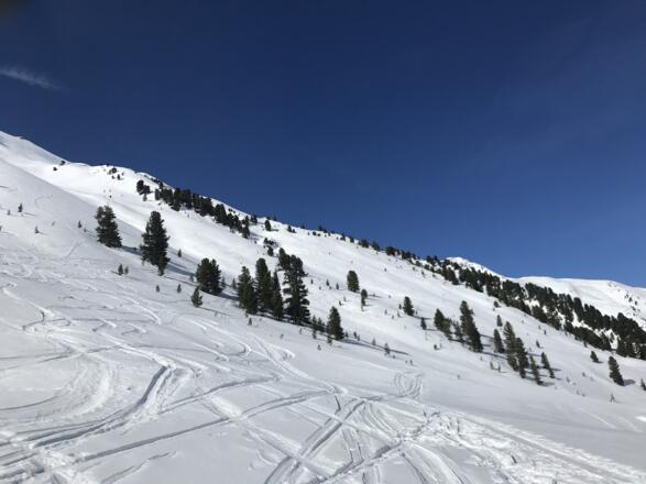 Gegenanstieg über den lichten Zirbenwald zum Schigebiet