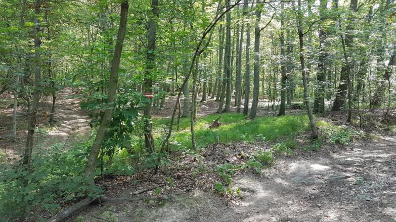 Hier rechts halten, aber keine Sorge, der Weg ist gut markiert!