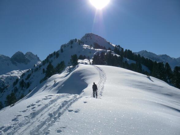 Nordkamm des Grieskogels