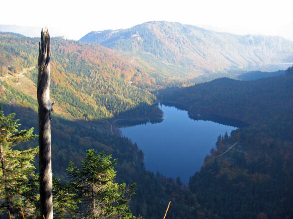 Blick vom &quot;Schafalm-Unterstand&quot; zu den Langbathseen