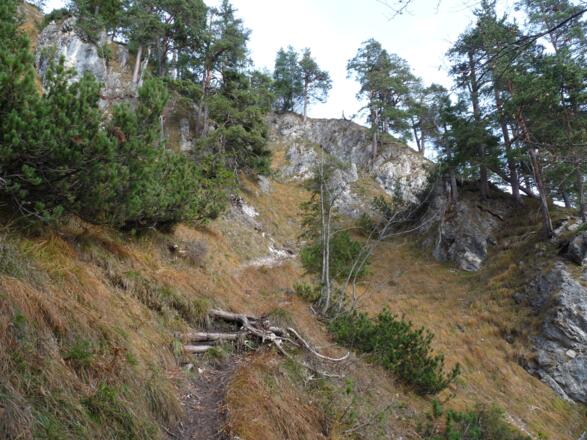 Der Anstieg im Waldbereich ist durchwegs steil.