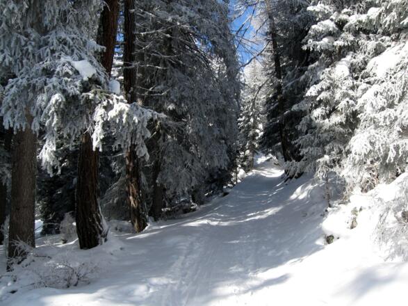 Man folgt immer diesem Hohlweg in angenehmer Steilheit.