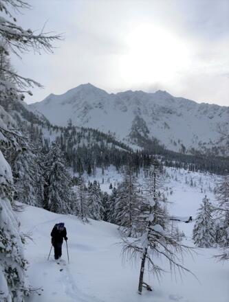 Seekarspitze, Sauschneidalm