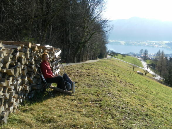 Pause am Waldrand mit Seeblick