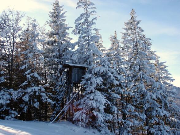 Jagastand um 1005m bei der Abfahrt