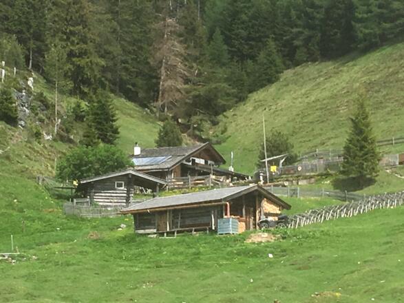 Steinalm