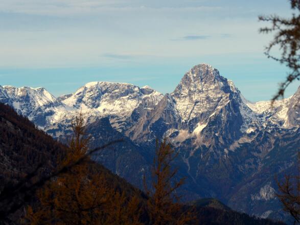Blick zur Spitzmauer
