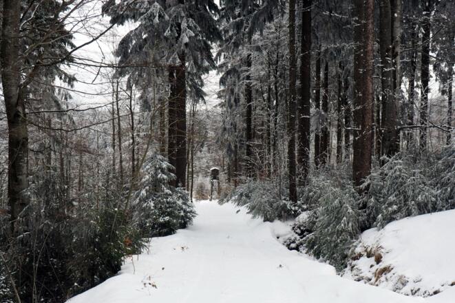 Ziehweg rechts nach Tschechien hinab