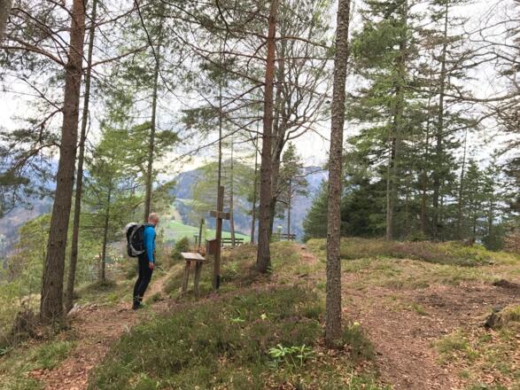 Am Gipfel des Radingstein (901 m)