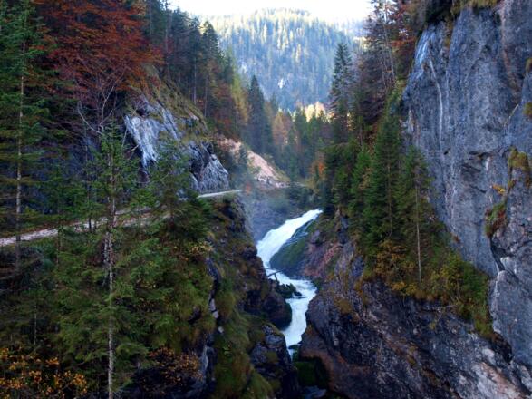 Waldbachstrub
