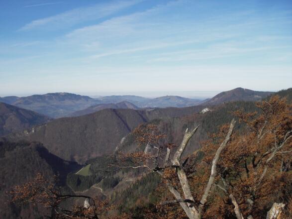 Blick vom Falkenstein nach Maria Neustift