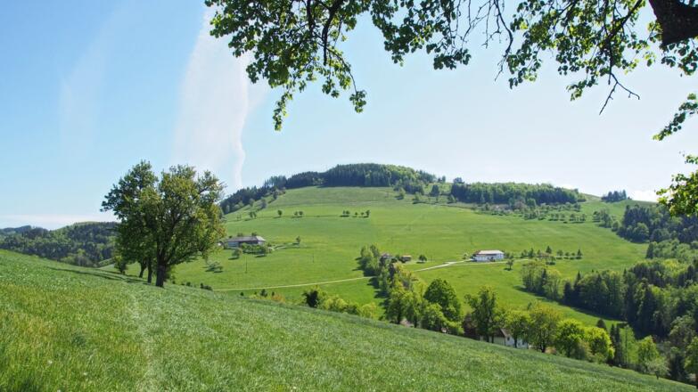 Überquerung der Wiese beim LW "Sturm"