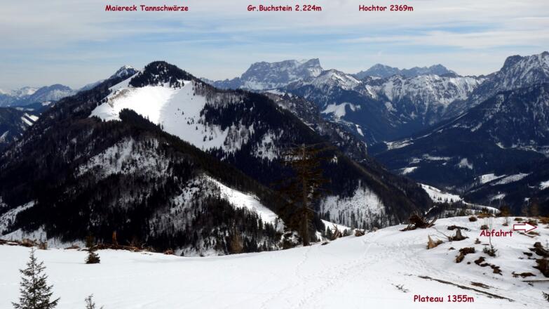 Tannschwärze/Schwarzeck vom Zeitschenberg