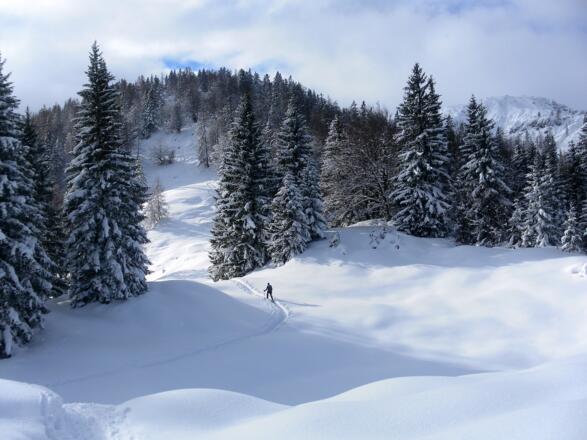Schafelberg- Vorgipfel und Kirchberg