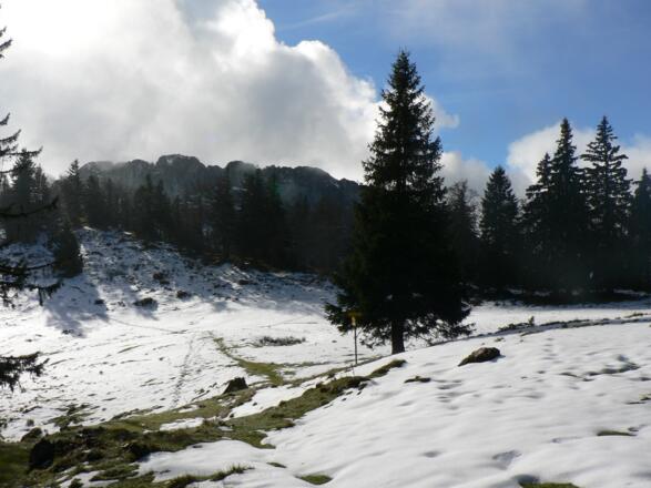 Am Almboden unterhalb des Gipfelaufschwungs trennen sich die Wege, wir ziehen rechts hinauf