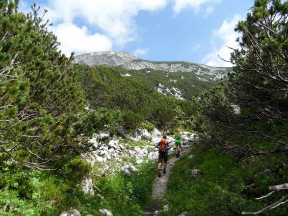 Am Ende des Buderussteig taucht der Hohe Nock auf.