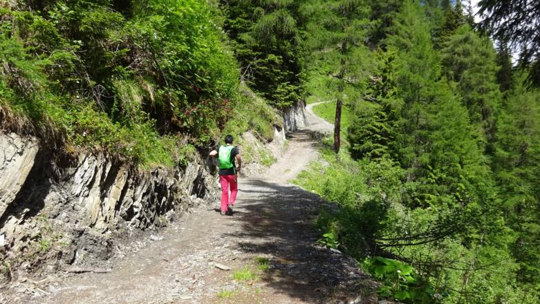 Ab der Stippleralm wird die Forsttraße schmäler, dann ...