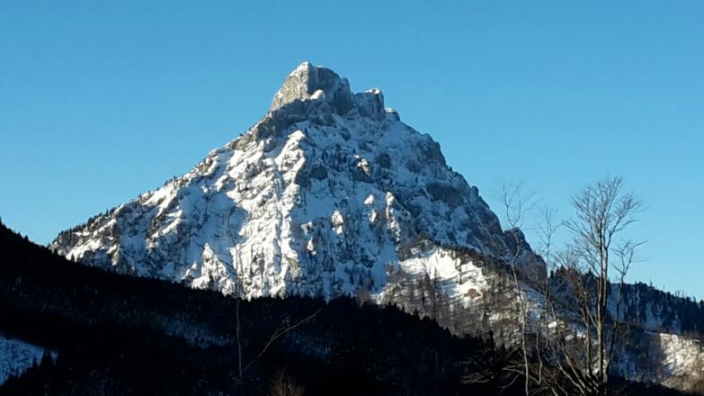 Blick zum Traunstein