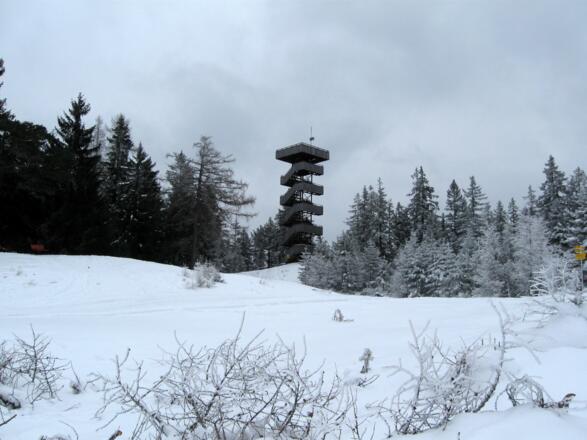 Da ist er schon erreicht, der Grünberg auf dessen höchsten Punkt befindet sich dieser Aussichtsturm.