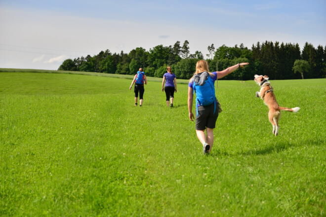 über Feld und Wiesen
