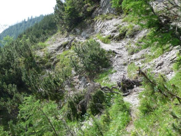 der Weg leitet in die Nordflanke