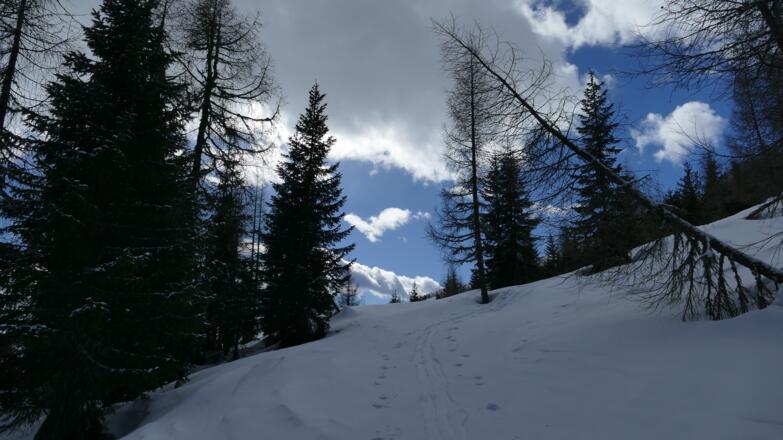 Feste windgepresste Schneeschuhspur beim Aufstieg auf den Zwiesel