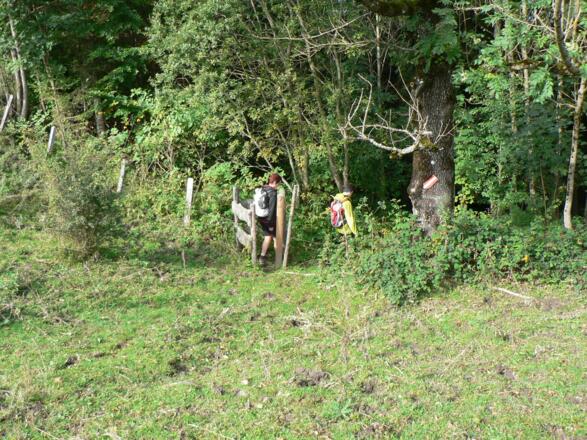 Wir verlassen das Weidegebiet