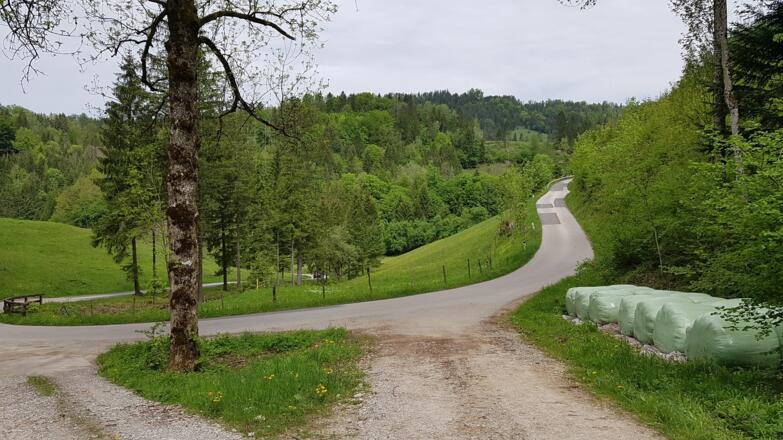 Ende der Abfahrt - Rechts Richtung Breitenau.