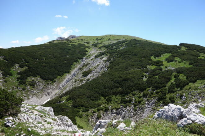 Blick auf den Hohen Noch (Nockplateau)
