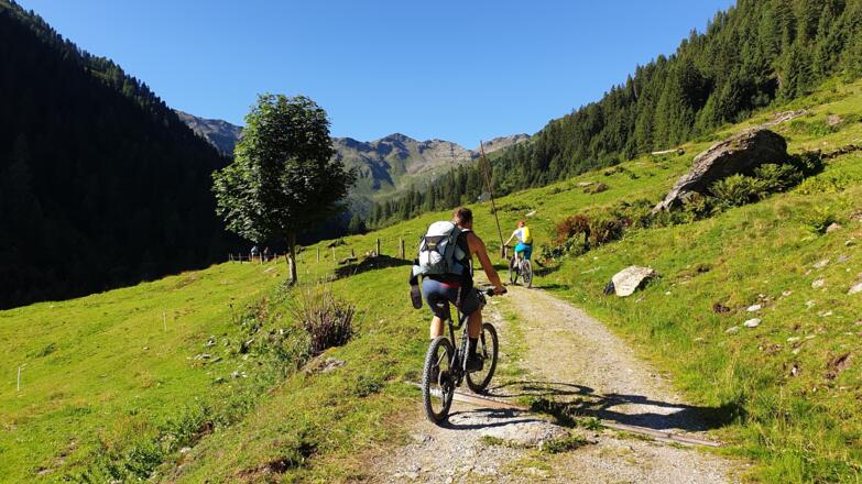 Über den Forstweg geht es weiter Richtung Talschluß