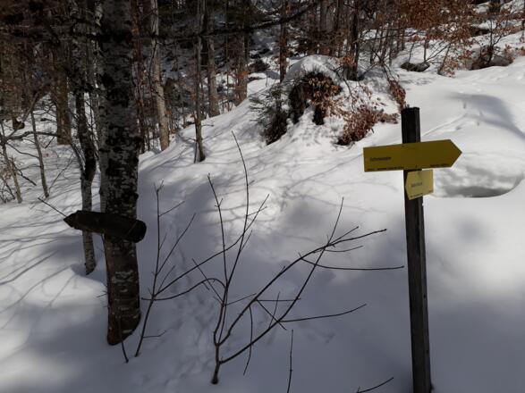 Forststraßenkreuzung auf 1030 m