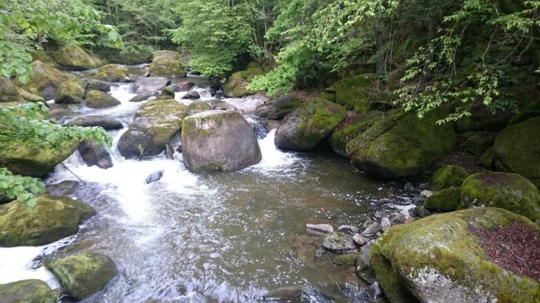 immer wieder schöne Badeplätze