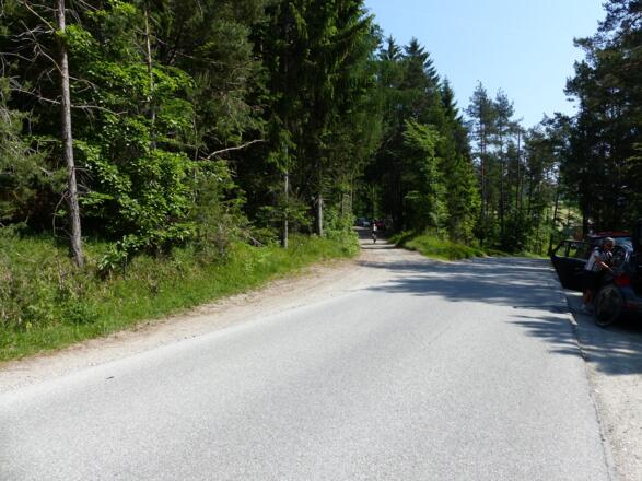 Bevor die Straße nach Terfens hinunterführt, zweigen wir linkerhand in den Forstweg ab.