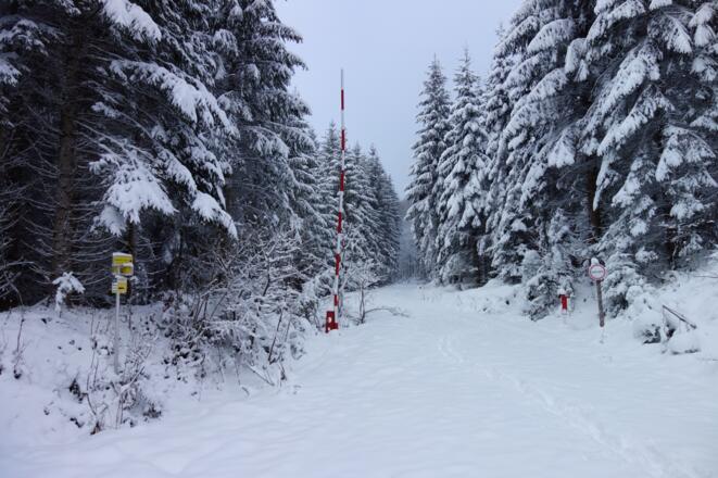 Kreuzing (760 m), rechts der Forststr. folgen