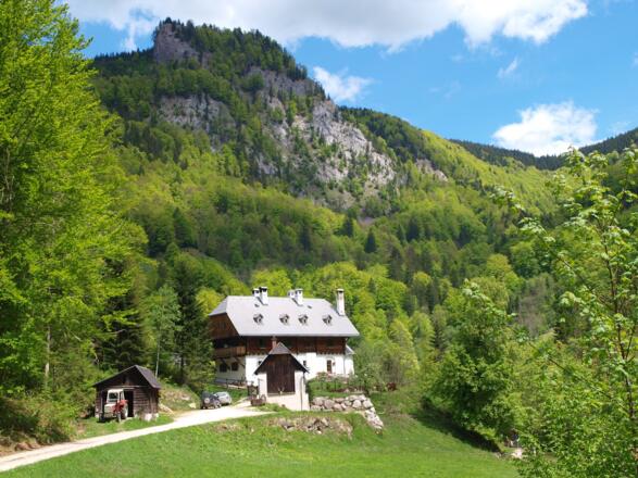 Forsthaus 641 m