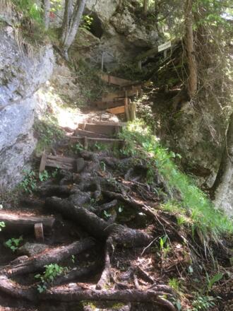 am Fuchssteig
