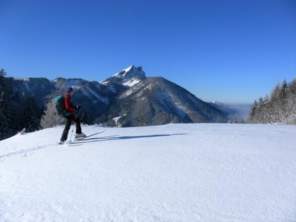 Bergkuppe vor Schafberg