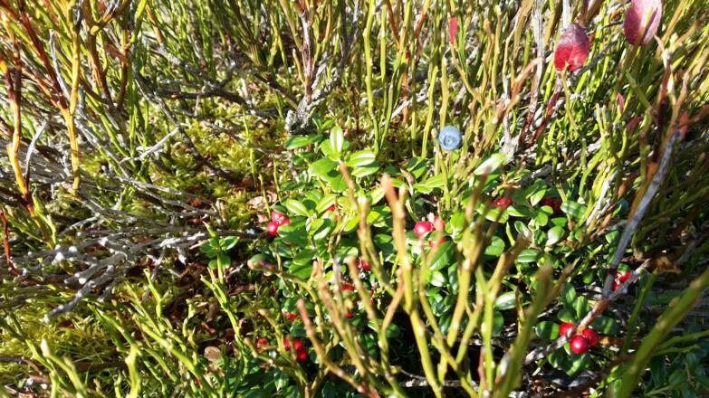 ... dann zieht es uns magisch ins Gelände!