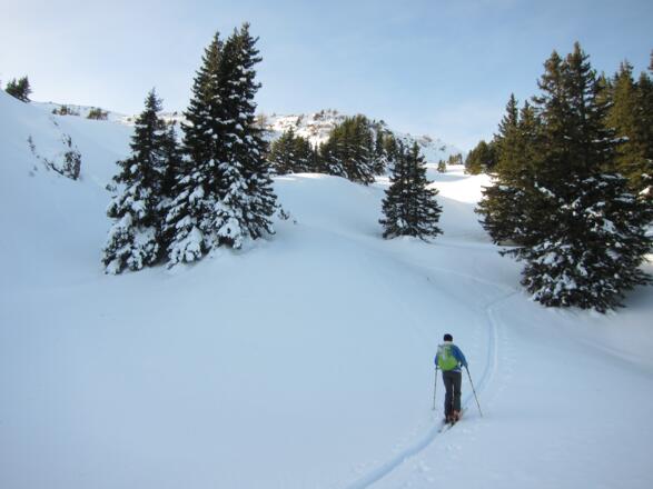 ... der Blick auf den Nordrücken wird frei.